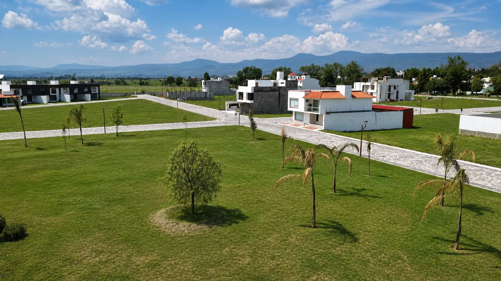 Zona boscosa de convivencia
